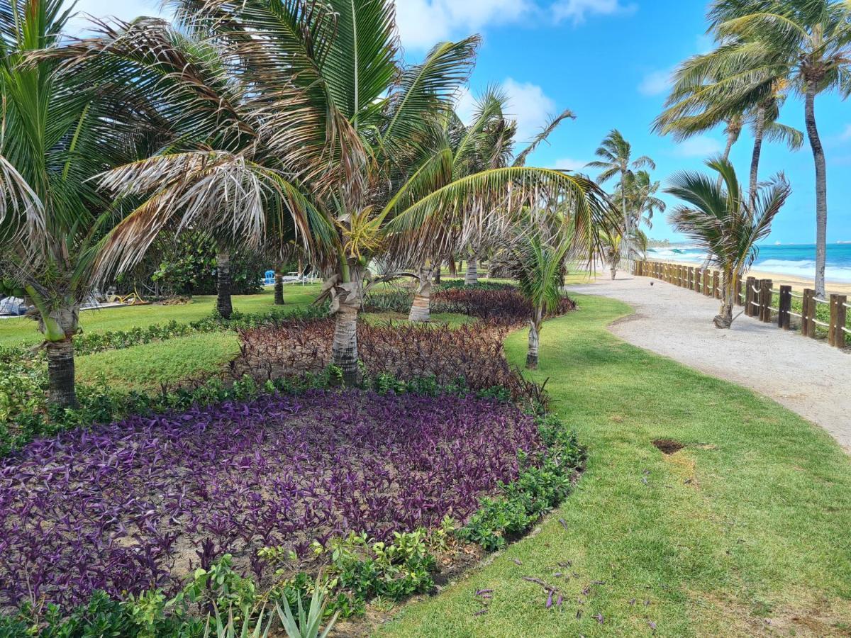 Apartamento Eco Life Pôrto das Galinhas Exteriér fotografie